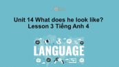 Unit 14 lớp 4: What does he look like?-Lesson 3