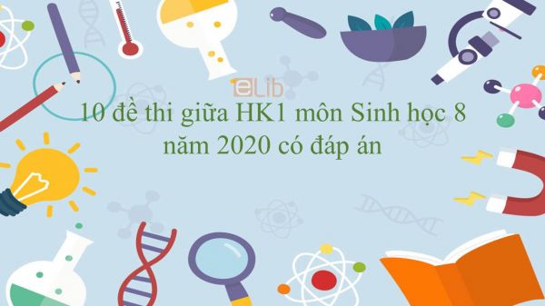 10 Đề thi giữa Học kì 1 môn Sinh học lớp 8 năm 2020 có đáp án