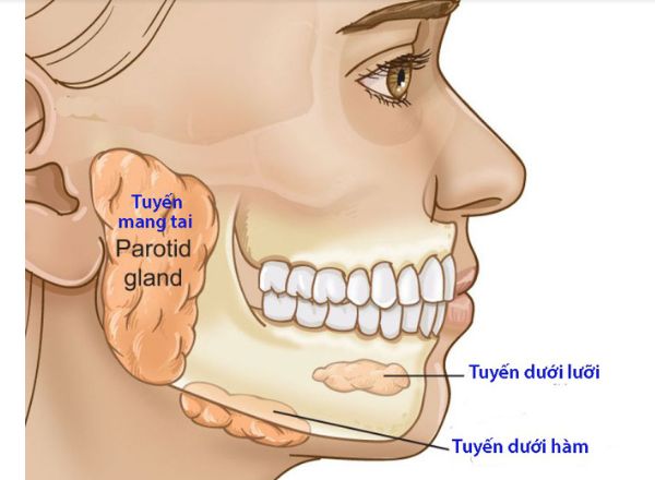 Bệnh viêm tuyến nước bọt - Triệu chứng, nguyên nhân và cách điều trị