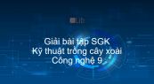 Giải bài tập SGK Công nghệ 9 Bài 10: Kỹ thuật trồng cây xoài