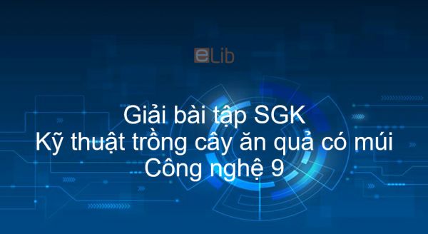 Giải bài tập SGK Công nghệ 9 Bài 7: Kỹ thuật trồng cây ăn quả có múi