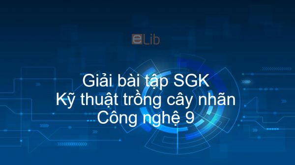 Giải bài tập SGK Công nghệ 9 Bài 8: Kỹ thuật trồng cây nhãn