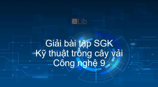 Giải bài tập SGK Công nghệ 9 Bài 9: Kỹ thuật trồng cây vải