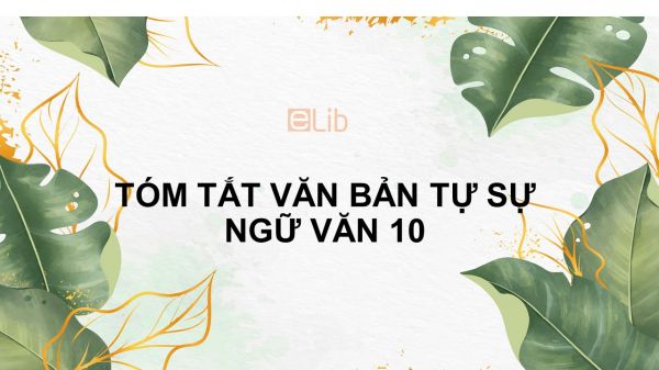 Tóm tắt văn bản tự sự (dựa theo nhân vật chính) Ngữ văn 10