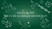 Giải bài tập SBT Sinh học 9 Bài 12: Cơ chế xác định giới tính