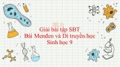 Giải bài tập SBT Sinh học 9 Bài 1: Menđen và Di truyền học