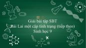 Giải bài tập SBT Sinh học 9 Bài 3: Lai một cặp tính trạng (tt)