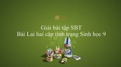 Giải bài tập SBT Sinh học 9 Bài 4: Lai hai cặp tính trạng