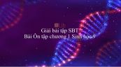 Giải bài tập SBT Sinh học 9 Bài 7: Ôn tập chương 1