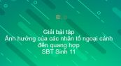 Giải SBT Sinh 11 Bài 10: Ảnh hưởng của các nhân tố ngoại cảnh đến quang hợp