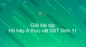 Giải SBT Sinh 11 Bài 12: Hô hấp ở thực vật
