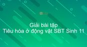 Giải SBT Sinh 11 Bài 15: Tiêu hóa ở động vật