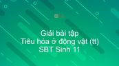 Giải SBT Sinh 11 Bài 16: Tiêu hóa ở động vật (tiếp theo)
