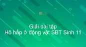 Giải SBT Sinh 11 Bài 17: Hô hấp ở động vật