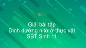 Giải SBT Sinh 11 Bài 5: Dinh dưỡng nitơ ở thực vật