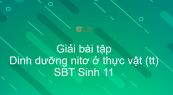 Giải SBT Sinh 11 Bài 6: Dinh dưỡng nitơ ở thực vật (tiếp theo)