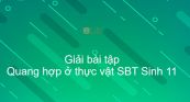 Giải SBT Sinh 11 Bài 8: Quang hợp ở thực vật