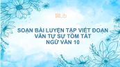 Soạn bài Luyện tập viết đoạn văn tự sự Ngữ văn 10 tóm tắt
