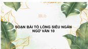 Soạn bài Tỏ lòng Ngữ văn 10 siêu ngắn