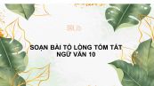 Soạn bài Tỏ lòng Ngữ văn 10 tóm tắt