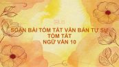Soạn bài Tóm tắt văn bản tự sự (dựa theo nhân vật chính) Ngữ văn 10 tóm tắt