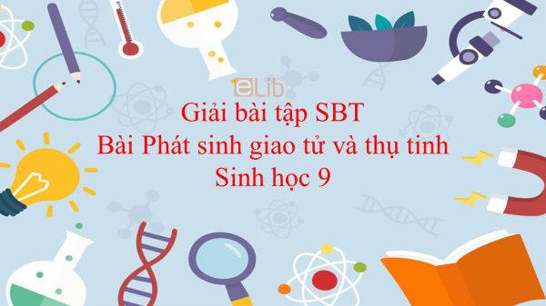 Giải bài tập SBT Sinh học 9 Bài 11: Phát sinh giao tử và thụ tinh