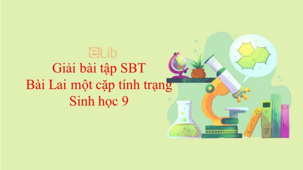 Giải bài tập SBT Sinh học 9 Bài 2: Lai một cặp tính trạng