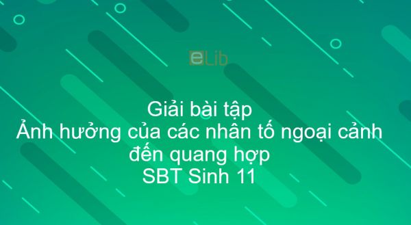 Giải SBT Sinh 11 Bài 10: Ảnh hưởng của các nhân tố ngoại cảnh đến quang hợp