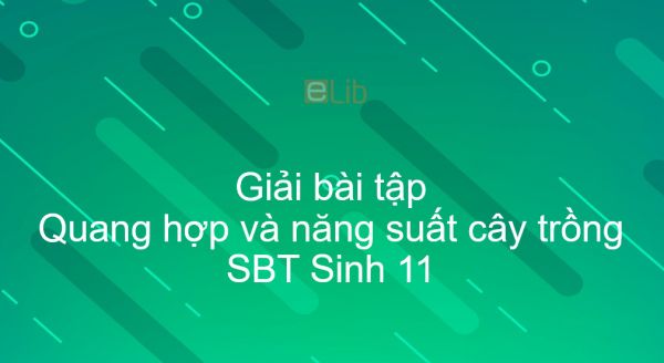 Giải SBT Sinh 11 Bài 11: Quang hợp và năng suất cây trồng