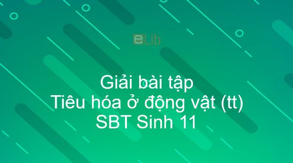 Giải SBT Sinh 11 Bài 16: Tiêu hóa ở động vật (tiếp theo)