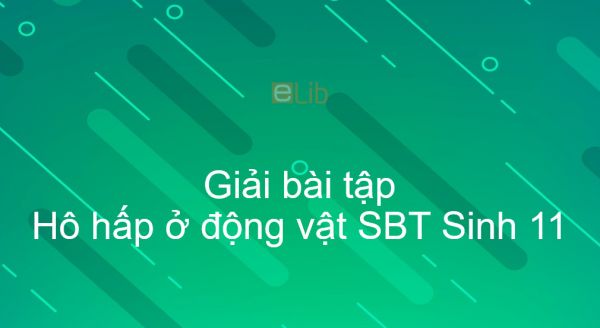 Giải SBT Sinh 11 Bài 17: Hô hấp ở động vật