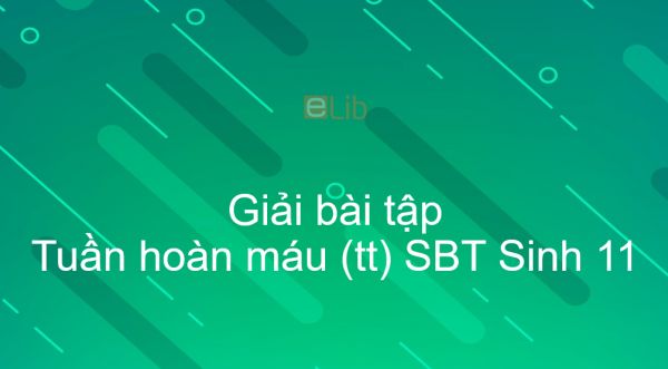 Giải SBT Sinh 11 Bài 19: Tuần hoàn máu (tiếp theo)