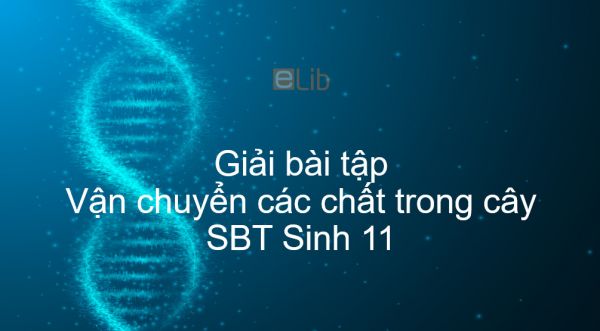 Giải SBT Sinh 11 Bài 2: Vận chuyển các chất trong cây