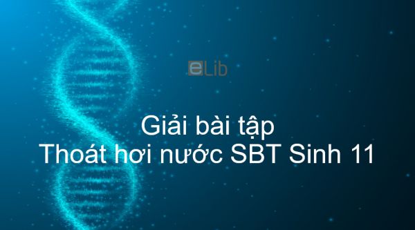 Giải SBT Sinh 11 Bài 3: Thoát hơi nước