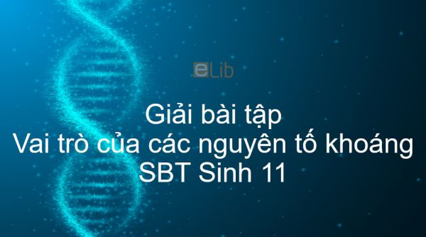 Giải SBT Sinh 11 Bài 4: Vai trò của các nguyên tố khoáng