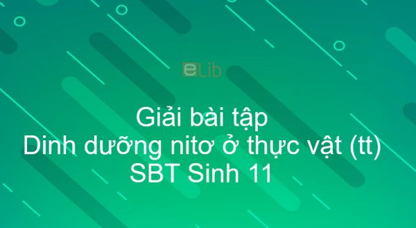 Giải SBT Sinh 11 Bài 6: Dinh dưỡng nitơ ở thực vật (tiếp theo)