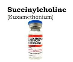 Thuốc Succinylcholine - Sử dụng làm giãn cơ