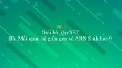Giải bài tập SBT Sinh học 9 Chương 3 Bài 17: Mối quan hệ giữa gen và ARN