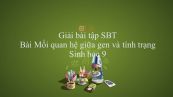 Giải bài tập SBT Sinh học 9 Bài 19: Mối quan hệ giữa gen và tính trạng