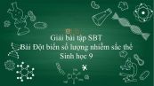 Giải bài tập SBT Sinh học 9 Bài 23: Đột biến số lượng nhiễm sắc thể
