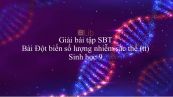 Giải bài tập SBT Sinh học 9 Bài 24: Đột biến số lượng nhiễm sắc thể (tt)