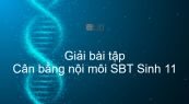 Giải SBT Sinh 11 Bài 20: Cân bằng nội môi