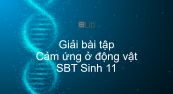 Giải SBT Sinh 11 Bài 26: Cảm ứng ở động vật