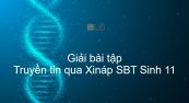 Giải SBT Sinh 11 Bài 30: Truyền tin qua Xináp