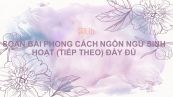 Soạn bài Phong cách ngôn ngữ sinh hoạt (tiếp theo) Ngữ văn 10 đầy đủ