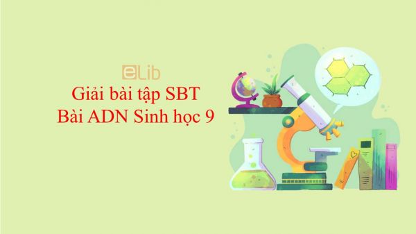 Giải bài tập SBT Sinh học 9 Bài 15: ADN