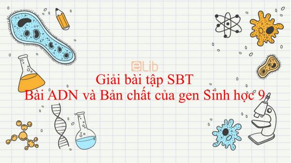 Giải bài tập SBT Sinh học 9 Bài 16: ADN và Bản chất của gen