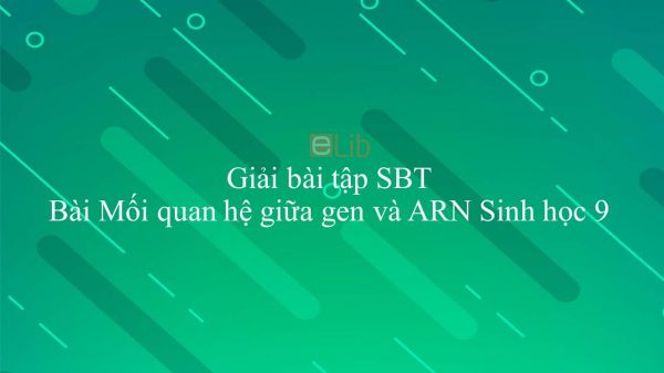 Giải bài tập SBT Sinh học 9 Chương 3 Bài 17: Mối quan hệ giữa gen và ARN