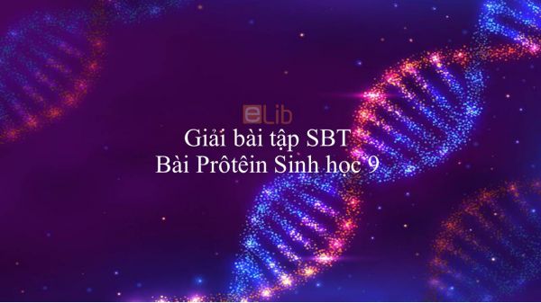 Giải bài tập SBT Sinh học 9 Bài 18: Prôtêin