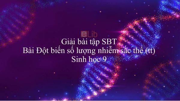 Giải bài tập SBT Sinh học 9 Bài 24: Đột biến số lượng nhiễm sắc thể (tt)